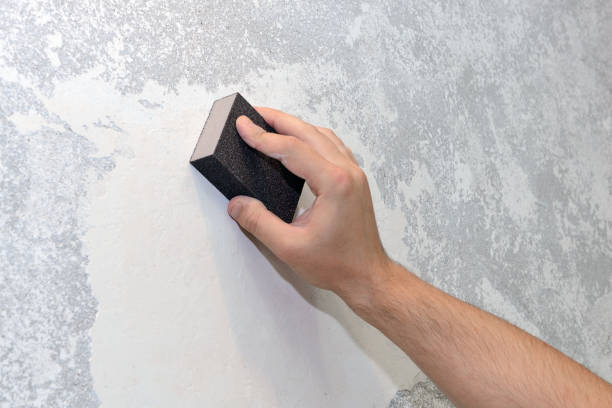 Best Water Damage & Mold Remediation  in Rexburg, ID