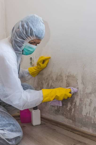 Best Forensic Mold Investigation  in Rexburg, ID