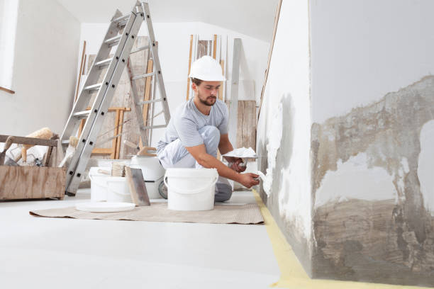Trusted Rexburg, ID Mold Removal Experts