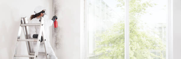 Best Air Quality Testing for Mold Spores  in Rexburg, ID