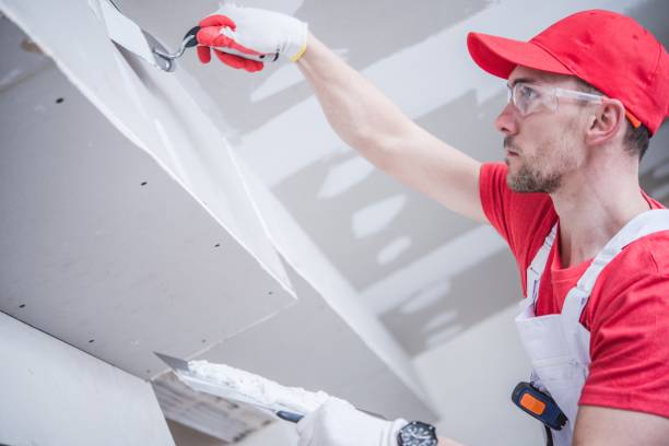 Best Mold Damage Restoration  in Rexburg, ID