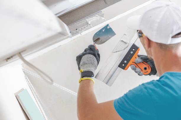 Best Air Quality Testing for Mold Spores  in Rexburg, ID